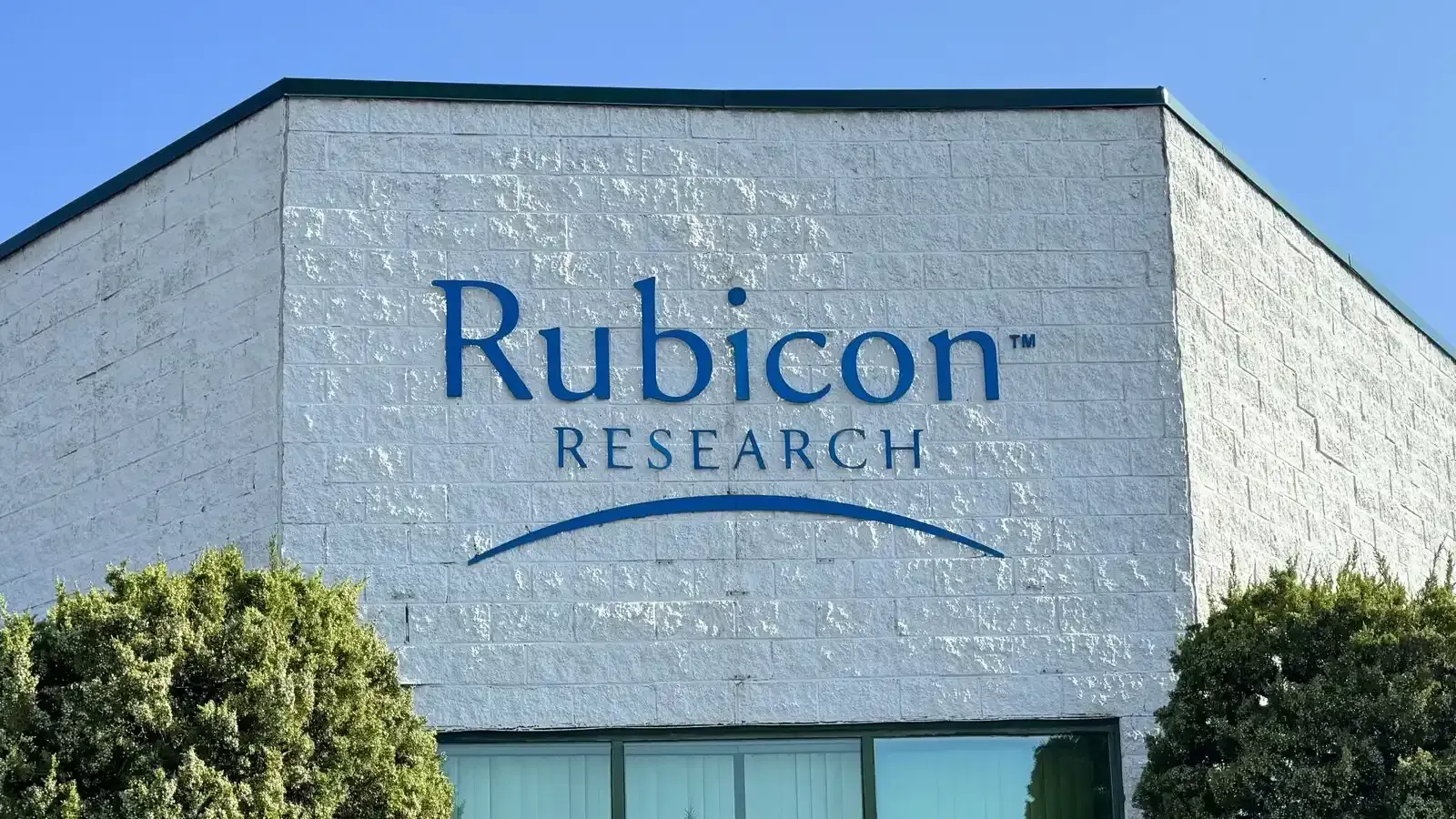 rubicon research ipo
